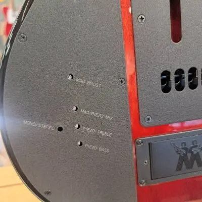 Ernie Ball Music Man John Petrucci 2